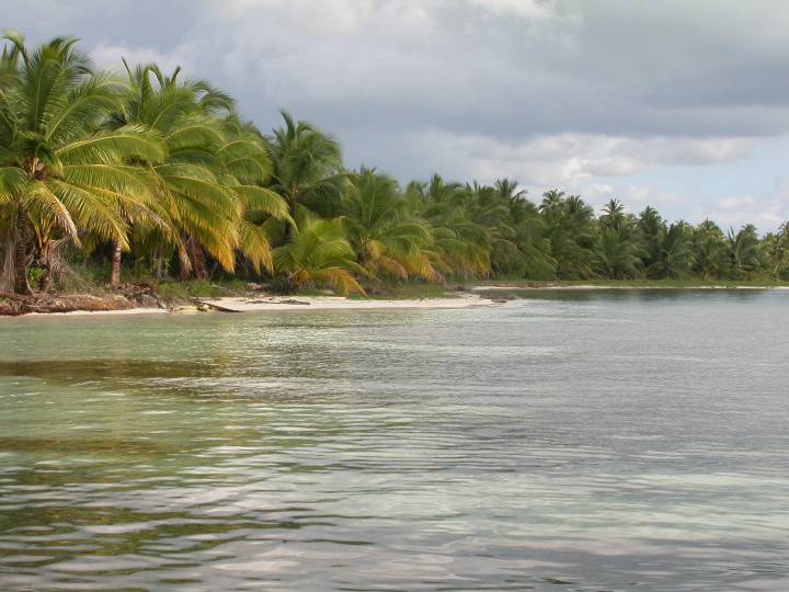 2006 (75)