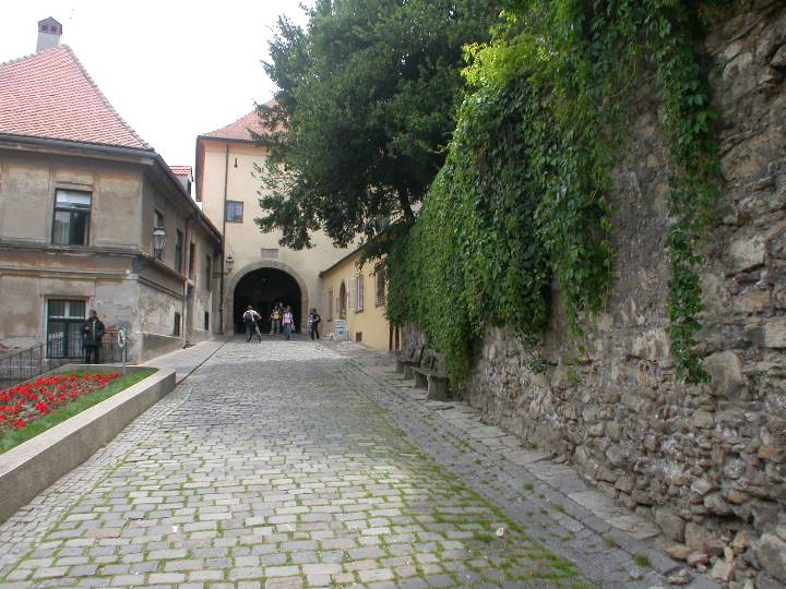 croatia (44)