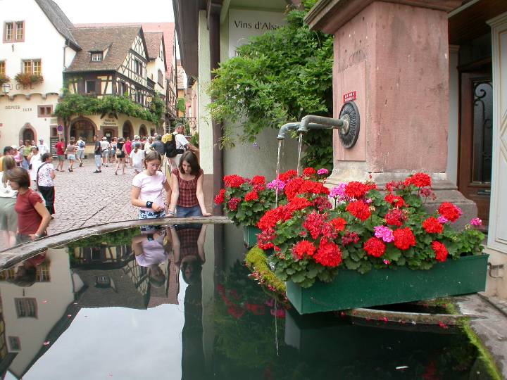 elzas (56)