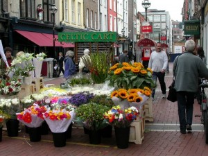 ireland (9)