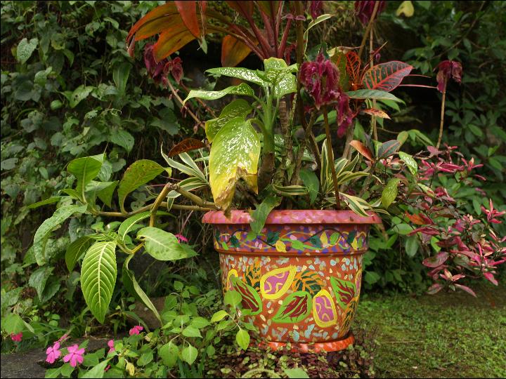 lands-arenal (5)