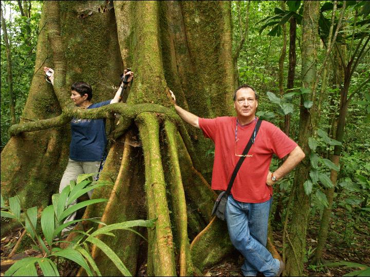 lands-arenal (64)