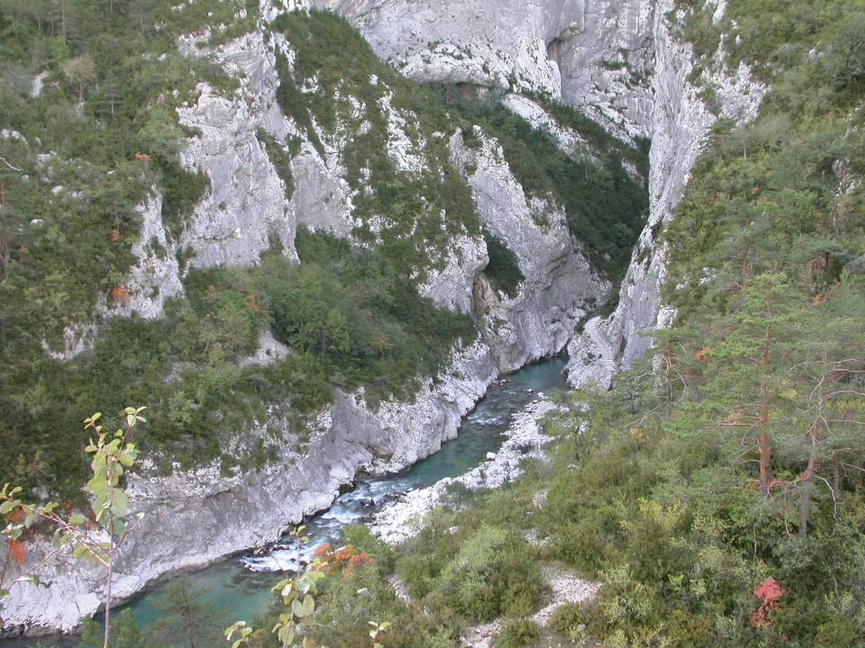 prold (6)