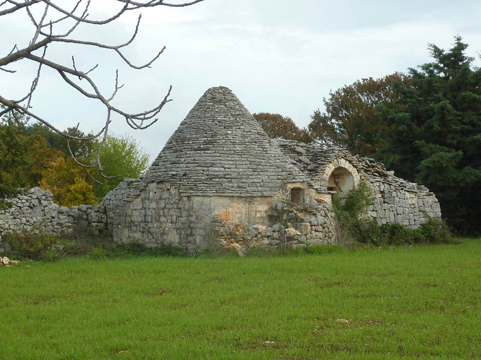 pulia (14)