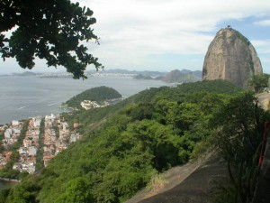 rio (68)
