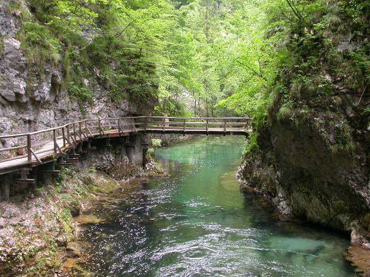 slovenia (100)