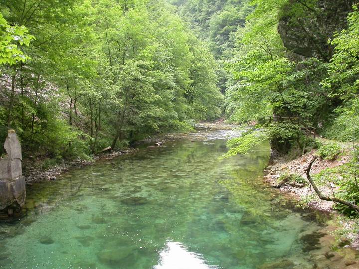 slovenia (101)
