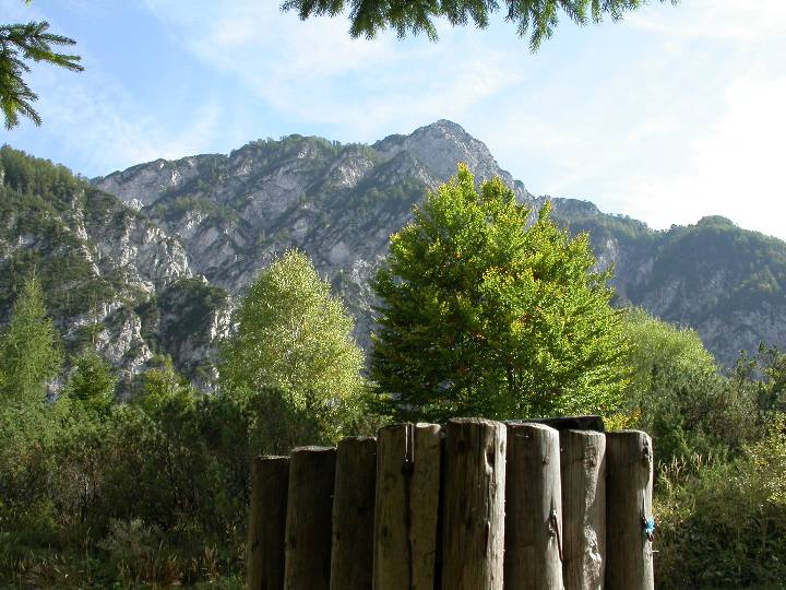 slovenia (115)
