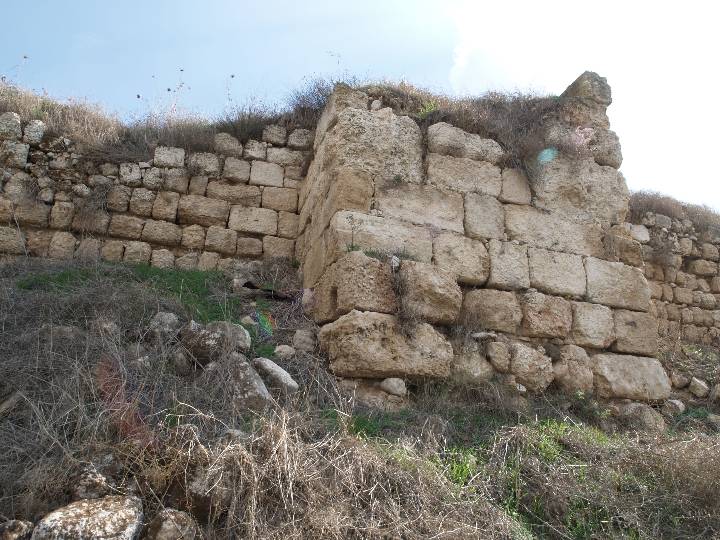 tavnit (4)