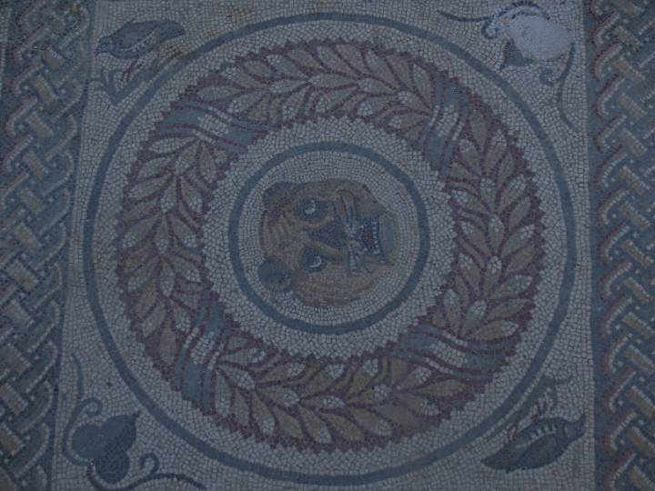 villa (52)