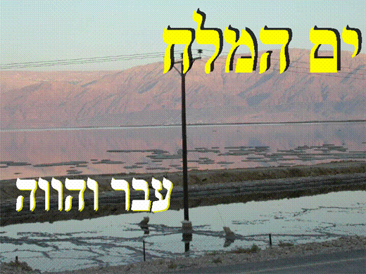 yamhamelach