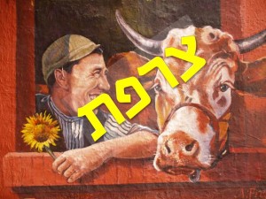 שקופית11