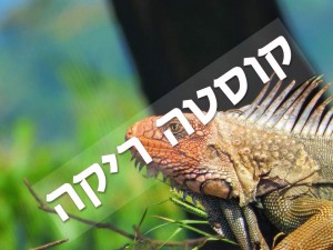שקופית18