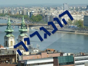 שקופית3