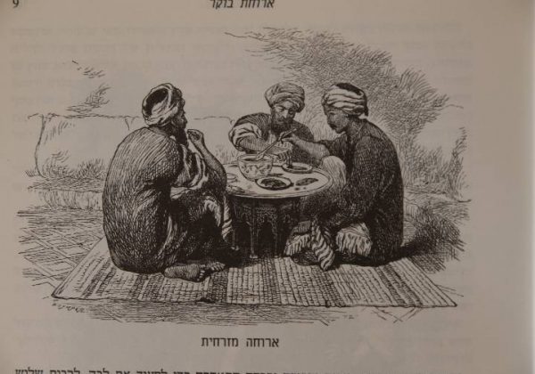 נלבישך שלמת בטון ומלט